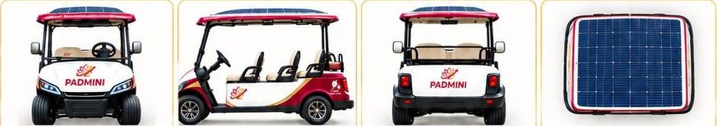Golf cart front, side, rear and top views